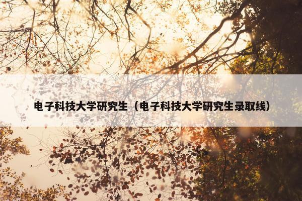 电子科技大学研究生（电子科技大学研究生录取线）