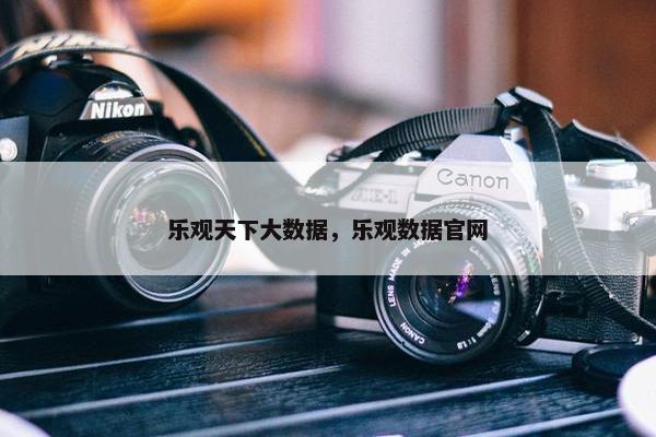 乐观天下大数据，乐观数据官网