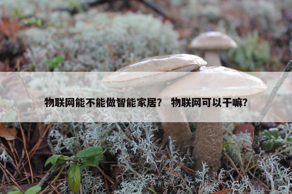 物联网能不能做智能家居？ 物联网可以干嘛？