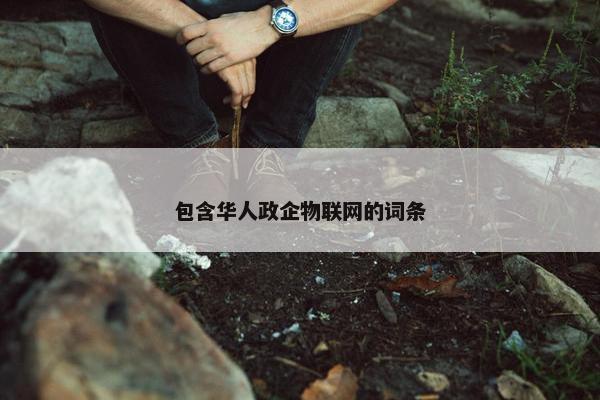 包含华人政企物联网的词条