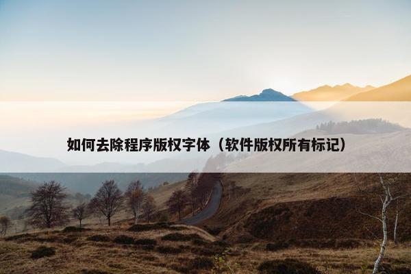 如何去除程序版权字体（软件版权所有标记）
