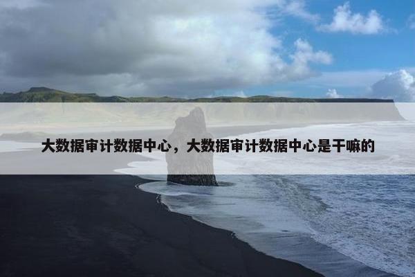 大数据审计数据中心，大数据审计数据中心是干嘛的