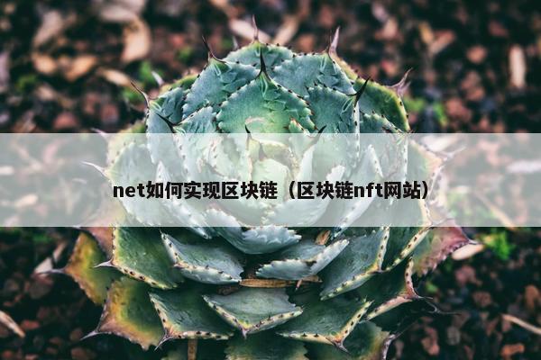 net如何实现区块链（区块链nft网站）