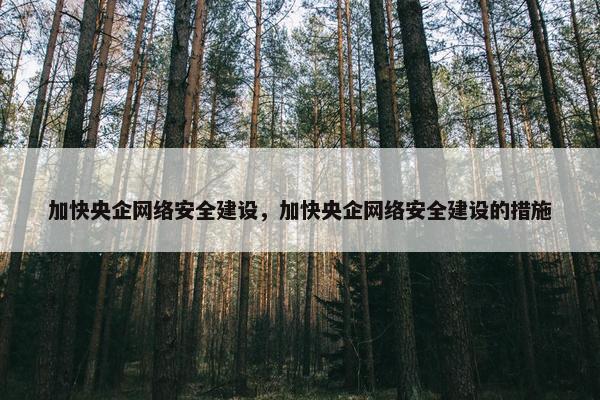 加快央企网络安全建设，加快央企网络安全建设的措施