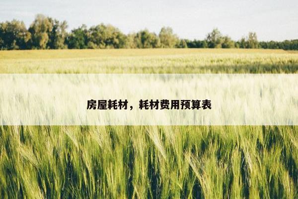 房屋耗材，耗材费用预算表