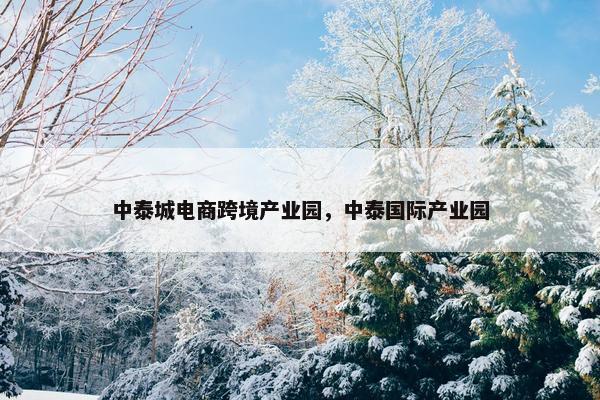 中泰城电商跨境产业园，中泰国际产业园
