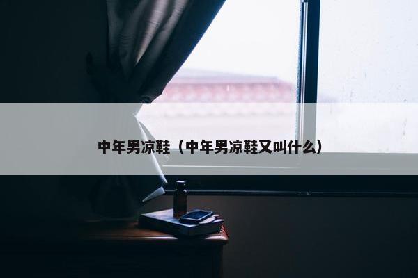 中年男凉鞋（中年男凉鞋又叫什么）