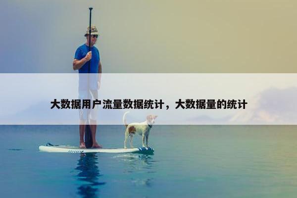 大数据用户流量数据统计，大数据量的统计