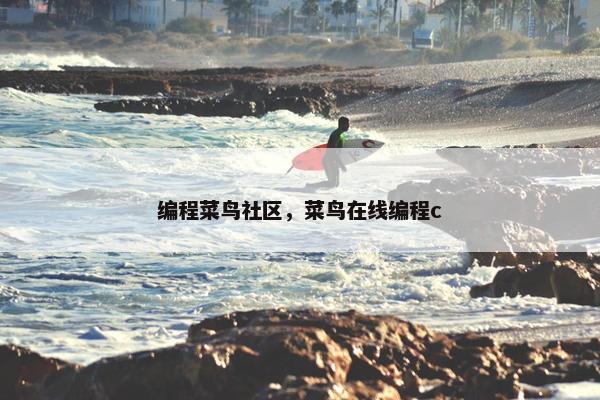 编程菜鸟社区，菜鸟在线编程c