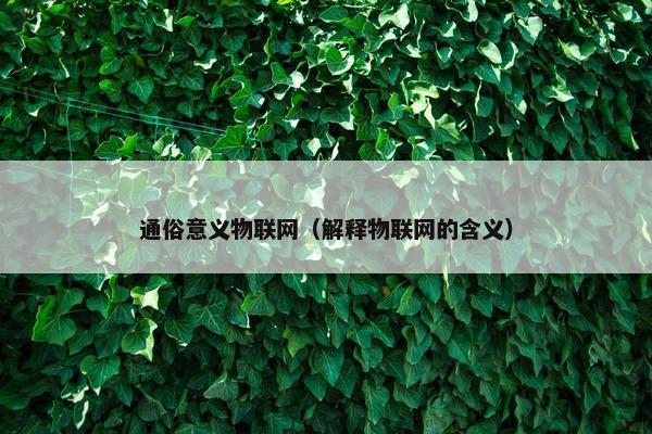 通俗意义物联网（解释物联网的含义）
