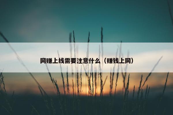 网赚上线需要注意什么（赚钱上网）