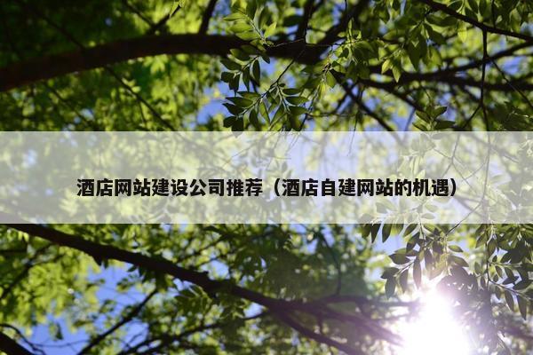 酒店网站建设公司推荐（酒店自建网站的机遇）
