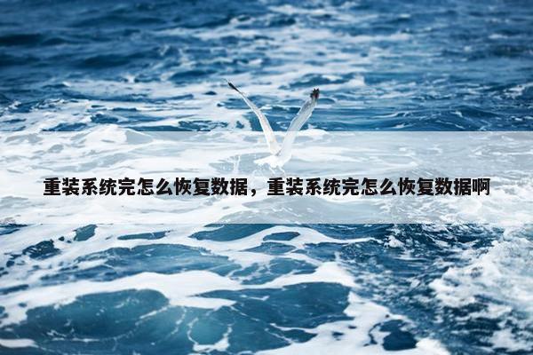 重装系统完怎么恢复数据，重装系统完怎么恢复数据啊
