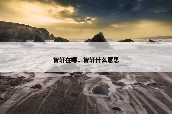 智轩在哪，智轩什么意思