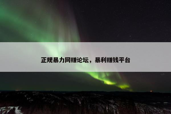 正规暴力网赚论坛，暴利赚钱平台