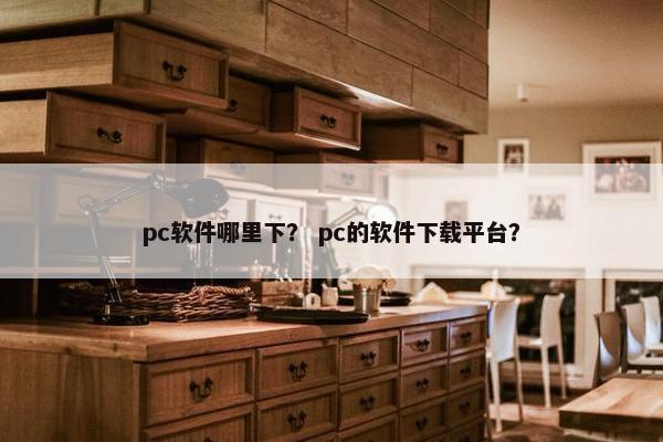 pc软件哪里下？ pc的软件下载平台？