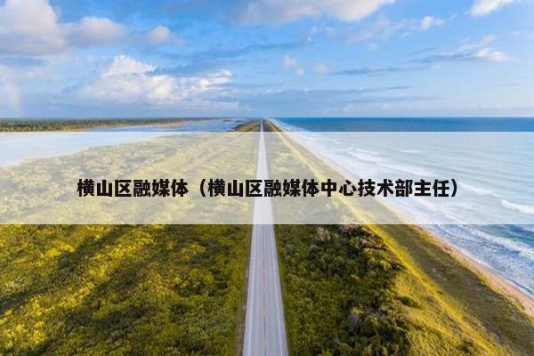 横山区融媒体（横山区融媒体中心技术部主任）