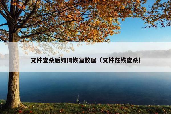 文件查杀后如何恢复数据（文件在线查杀）
