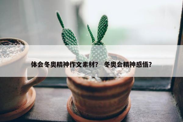 体会冬奥精神作文素材？ 冬奥会精神感悟？