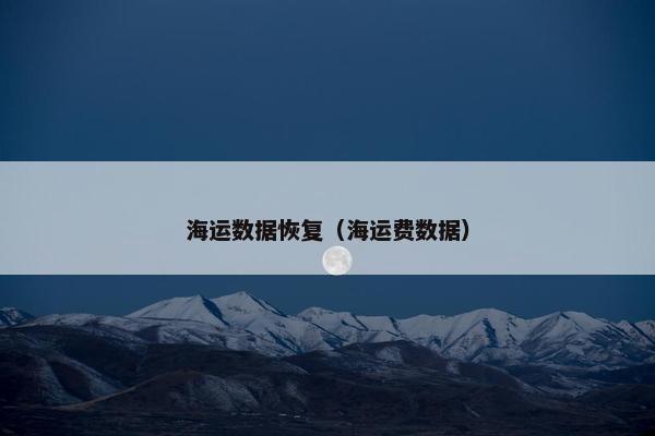 海运数据恢复（海运费数据）