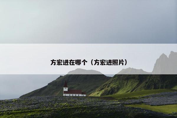 方宏进在哪个（方宏进照片）