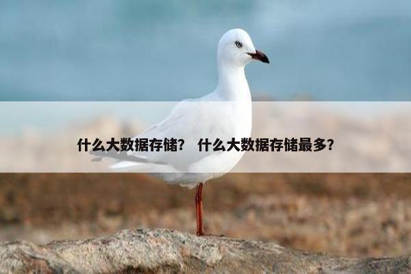 什么大数据存储？ 什么大数据存储最多？