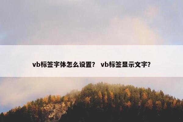 vb标签字体怎么设置？ vb标签显示文字？