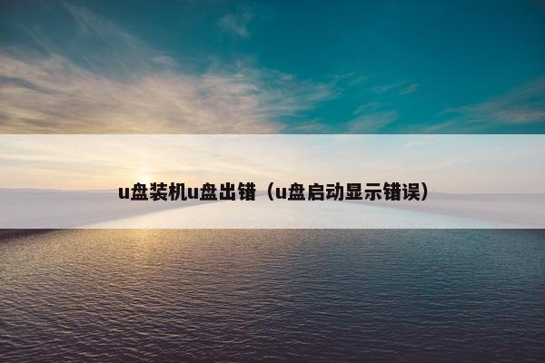 u盘装机u盘出错（u盘启动显示错误）