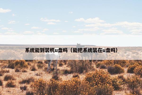 系统能到装机u盘吗（能把系统装在u盘吗）