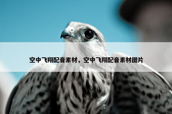 空中飞翔配音素材，空中飞翔配音素材图片