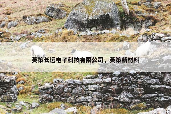 英策长远电子科技有限公司，英策新材料
