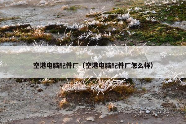 空港电脑配件厂（空港电脑配件厂怎么样）