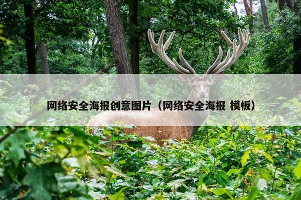 网络安全海报创意图片（网络安全海报 模板）