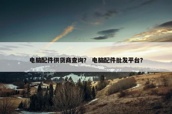 电脑配件供货商查询？ 电脑配件批发平台？