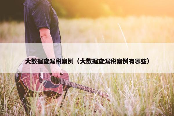 大数据查漏税案例（大数据查漏税案例有哪些）