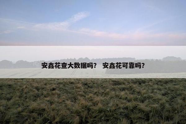 安鑫花查大数据吗？ 安鑫花可靠吗？