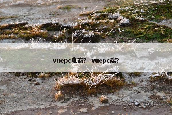 vuepc电商？ vuepc端？