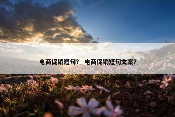 电商促销短句？ 电商促销短句文案？