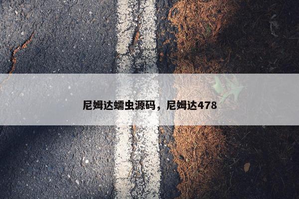 尼姆达蠕虫源码，尼姆达478