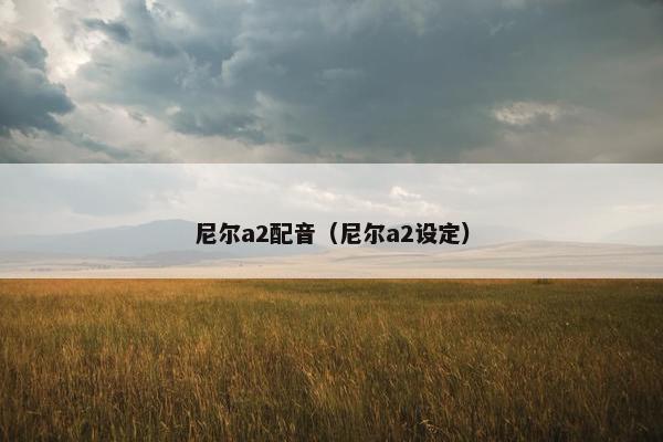 尼尔a2配音（尼尔a2设定）