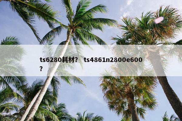 ts6280耗材？ ts4861n2800e600？