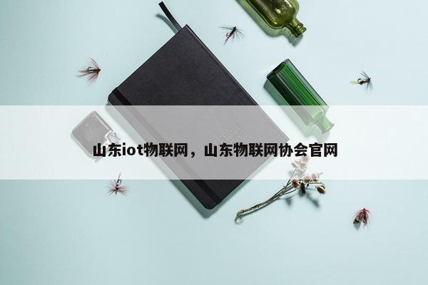 山东iot物联网，山东物联网协会官网