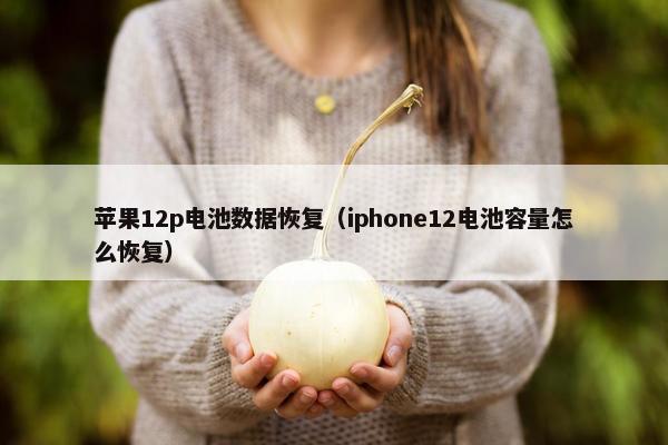 苹果12p电池数据恢复（iphone12电池容量怎么恢复）