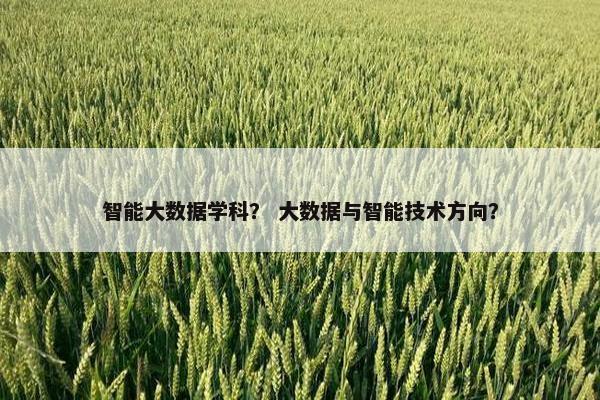 智能大数据学科？ 大数据与智能技术方向？