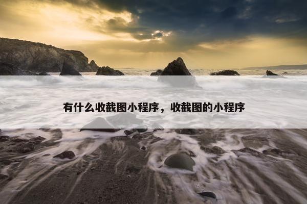 有什么收截图小程序，收截图的小程序