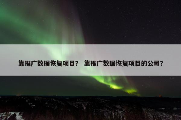靠推广数据恢复项目？ 靠推广数据恢复项目的公司？