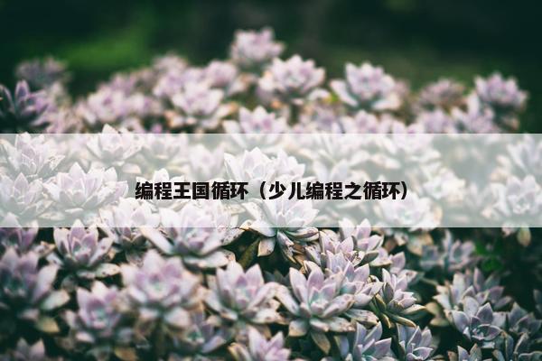 编程王国循环（少儿编程之循环）