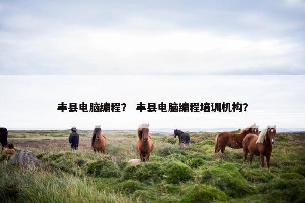 丰县电脑编程？ 丰县电脑编程培训机构？