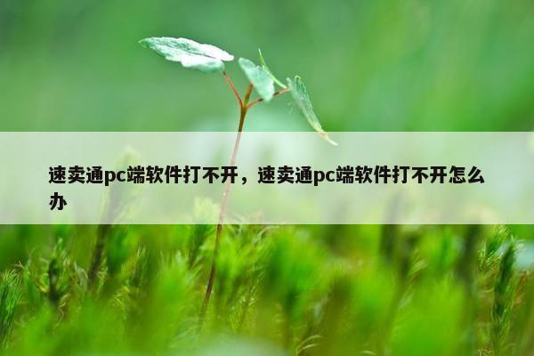 速卖通pc端软件打不开，速卖通pc端软件打不开怎么办