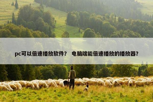 pc可以倍速播放软件？ 电脑端能倍速播放的播放器？